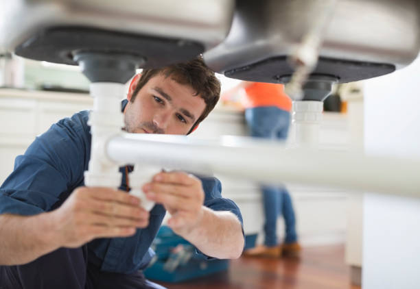Best Local Plumber Services  in Danville, IN
